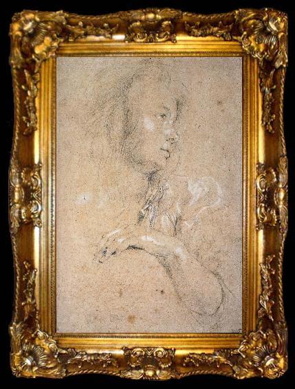 framed  Peter Paul Rubens Study of Head, ta009-2